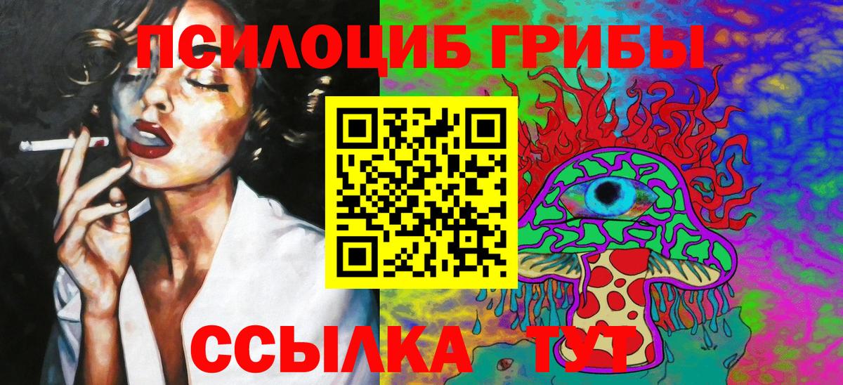 сколько стоит  Ефремов  Псилоцибиновые грибы MAGIC MUSHROOMS  Псилоцибиновые грибы Cubensis 