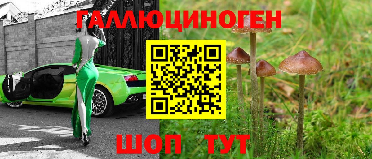 Ефремов  Псилоцибиновые грибы GOLDEN TEACHER  Галлюциногенные грибы мухоморы  Вход с VPN 