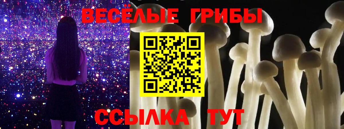 Псилоцибиновые грибы Psilocybe Ефремов